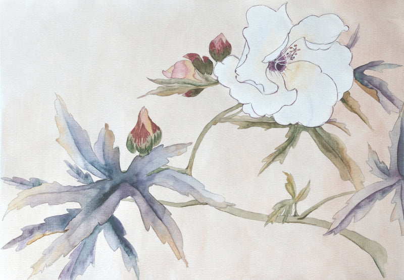 Fleurs du Printemps