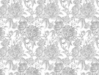 Pivoines Argentées